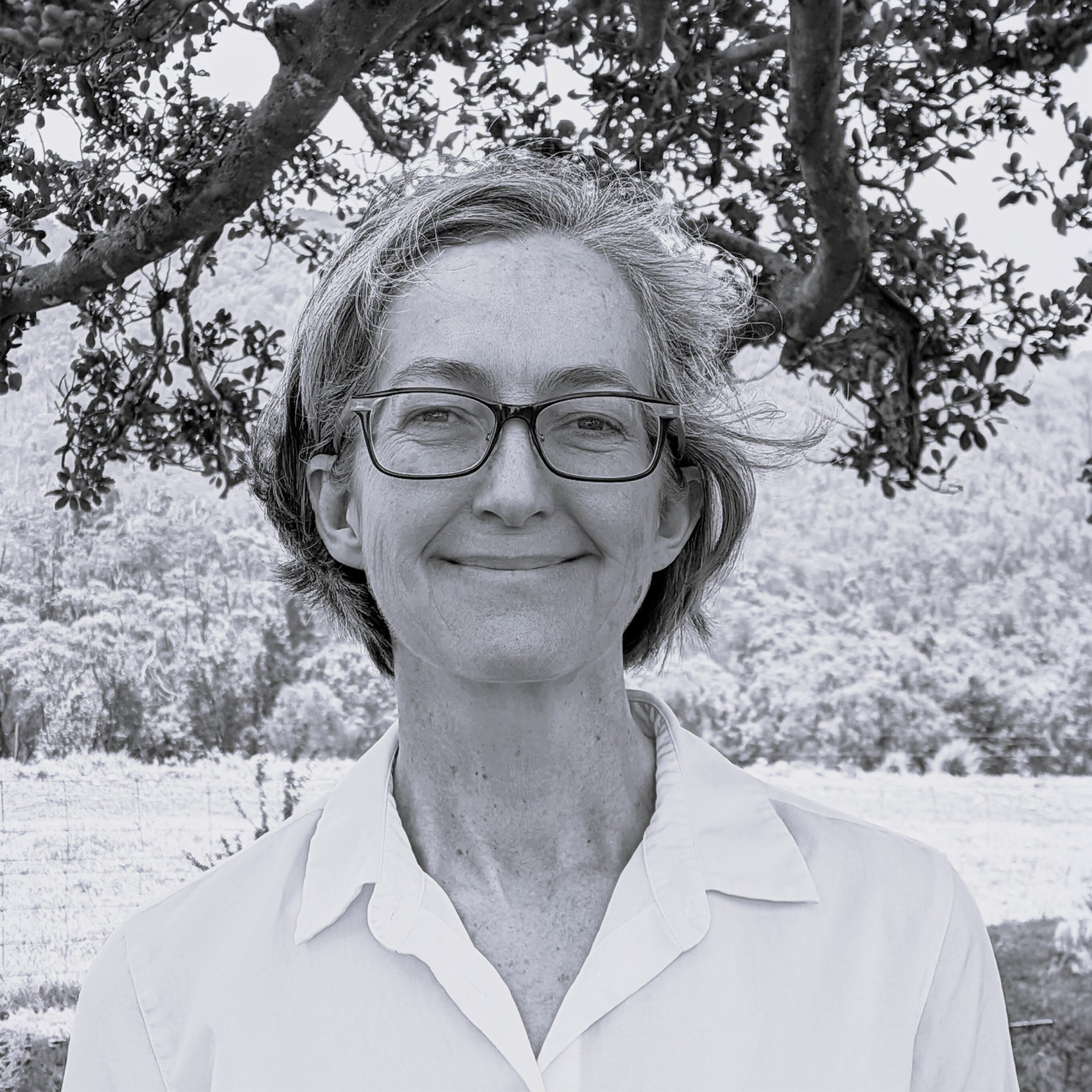 Kim Wilson